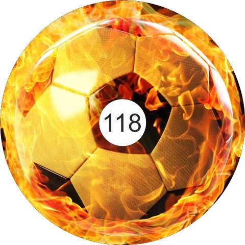 speichenschutz rollstuhl