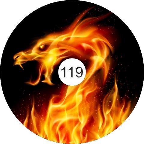 speichenschutz rollstuhl