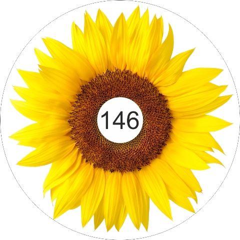 speichenschutz rollstuhl