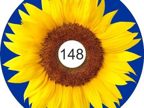 speichenschutz rollstuhl