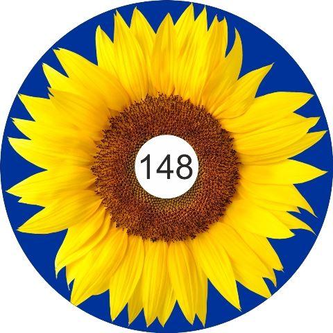 speichenschutz rollstuhl