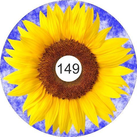 speichenschutz rollstuhl