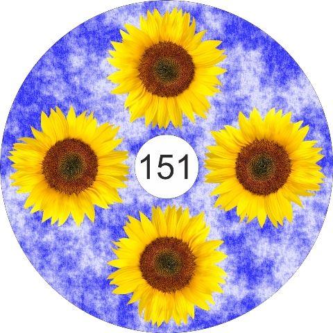 speichenschutz rollstuhl