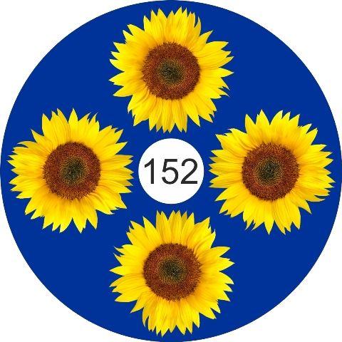 speichenschutz rollstuhl