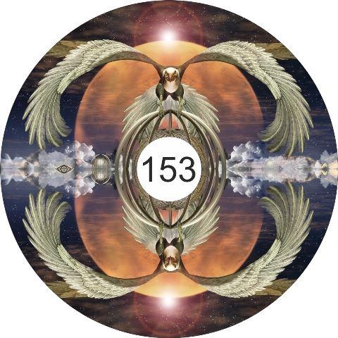 speichenschutz rollstuhl