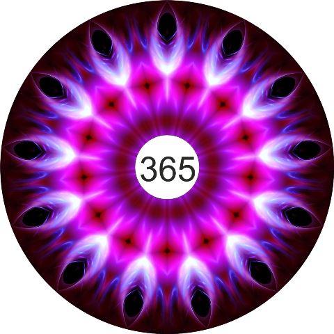 speichenschutz rollstuhl